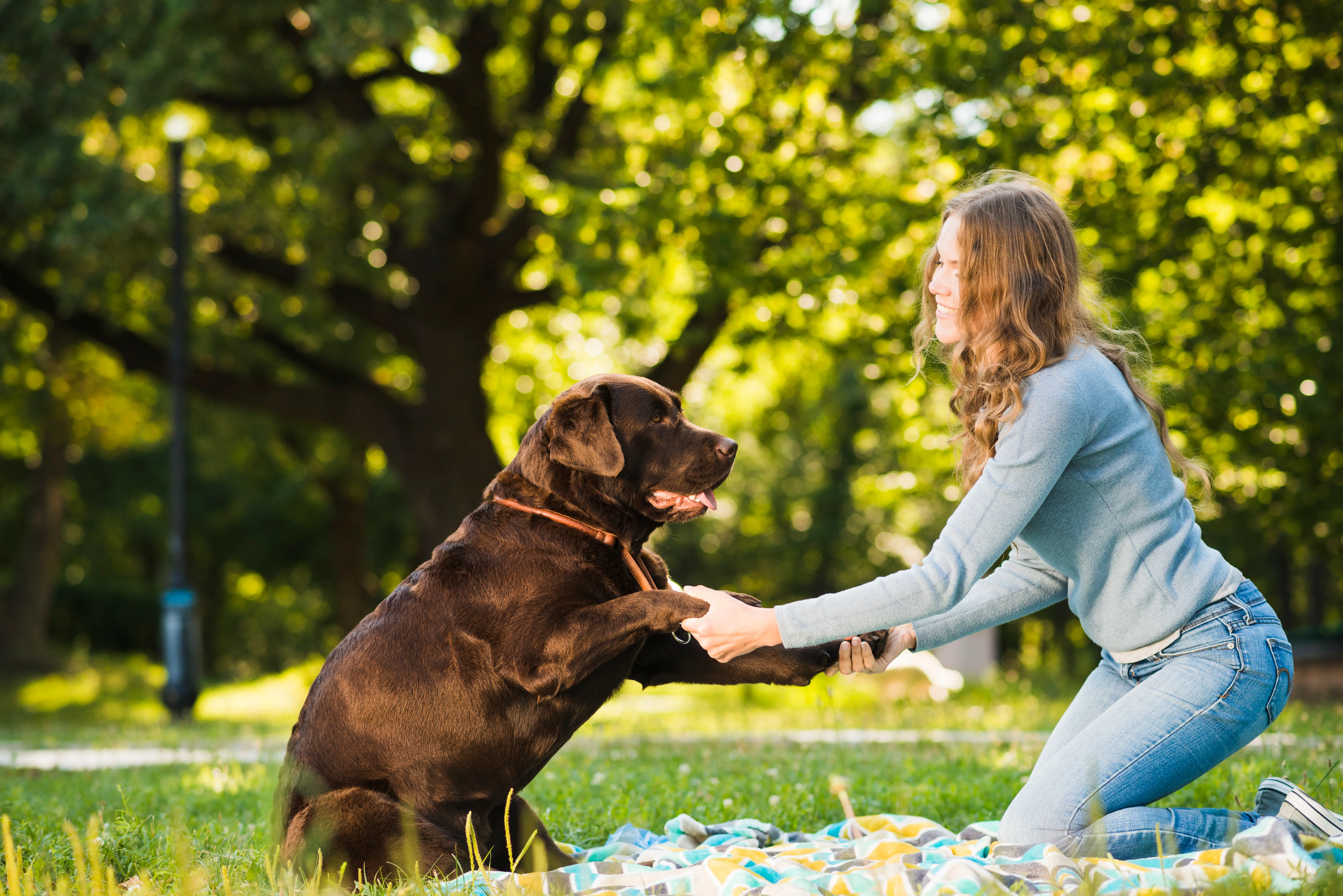 Pet Home Visits