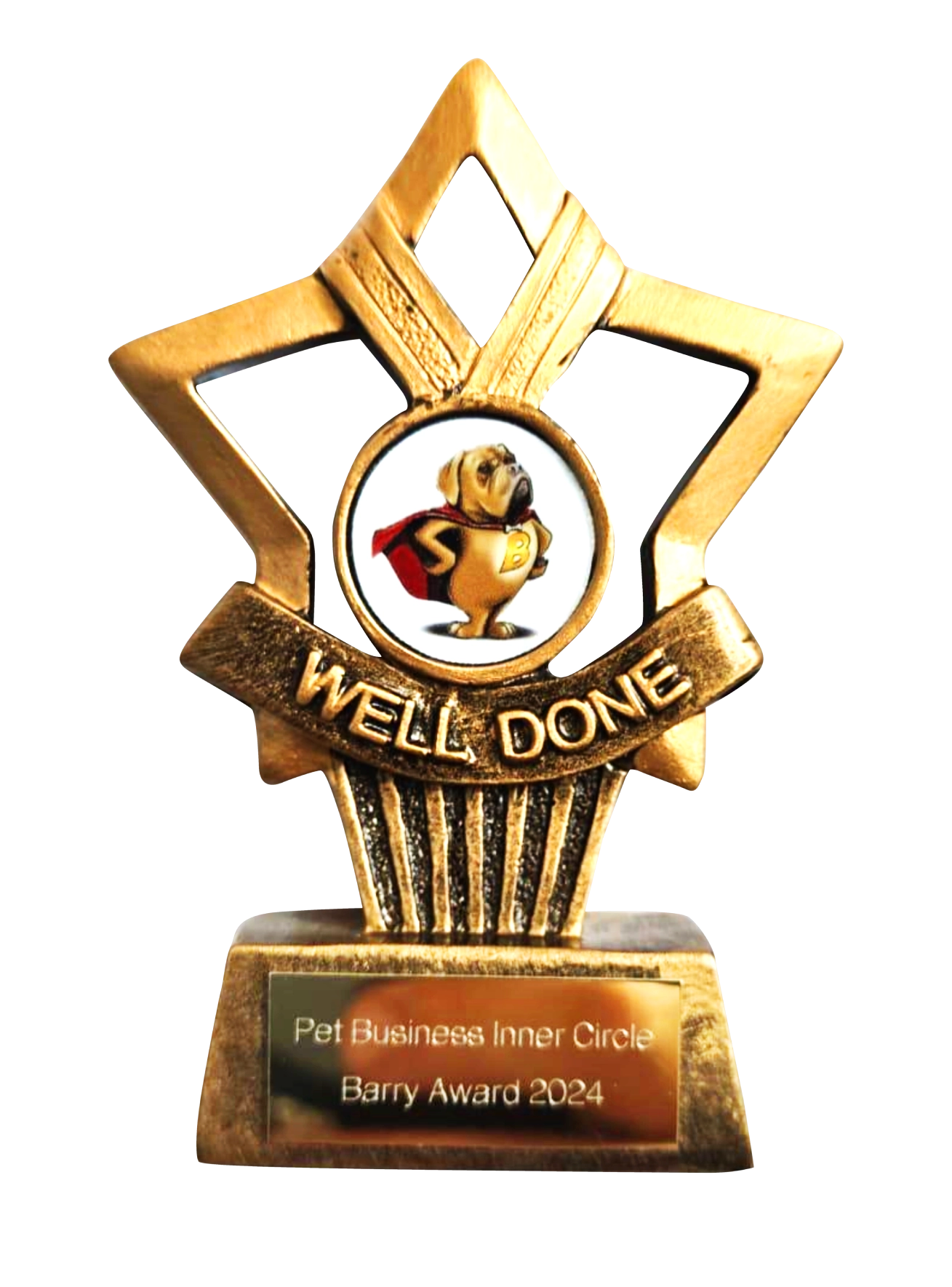 Well-done Award