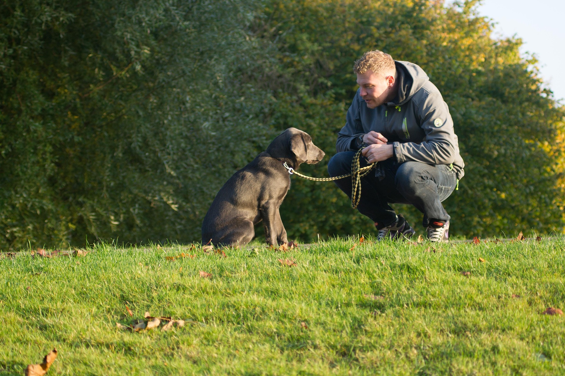 Managing Special Pet Requirements: How PawPal Helps Ensure Every Pet’s Unique Needs are Met