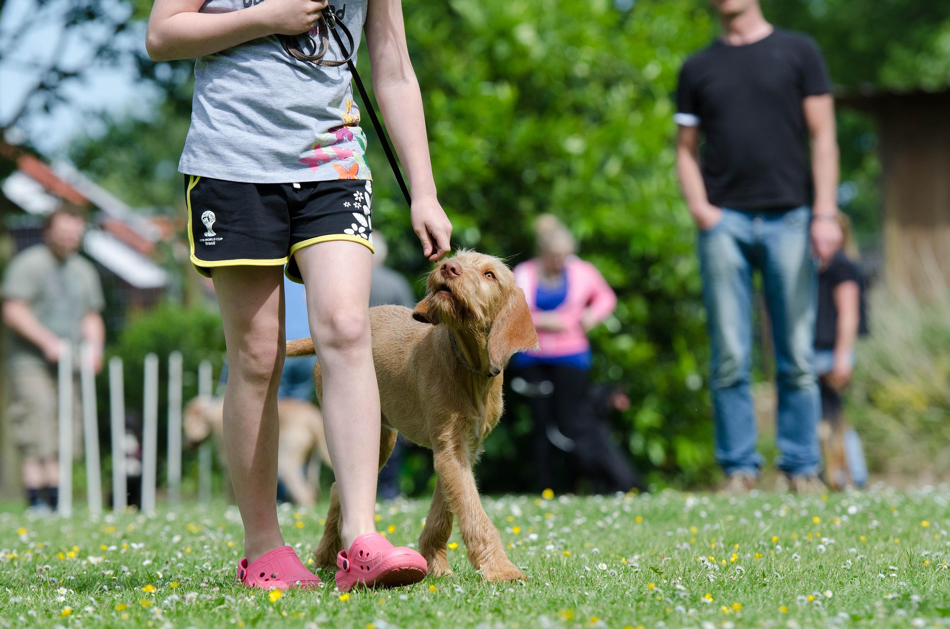 Stop Letting Your Clients Miss Out on Exclusive Offers—Boost Bookings with PawPal!
