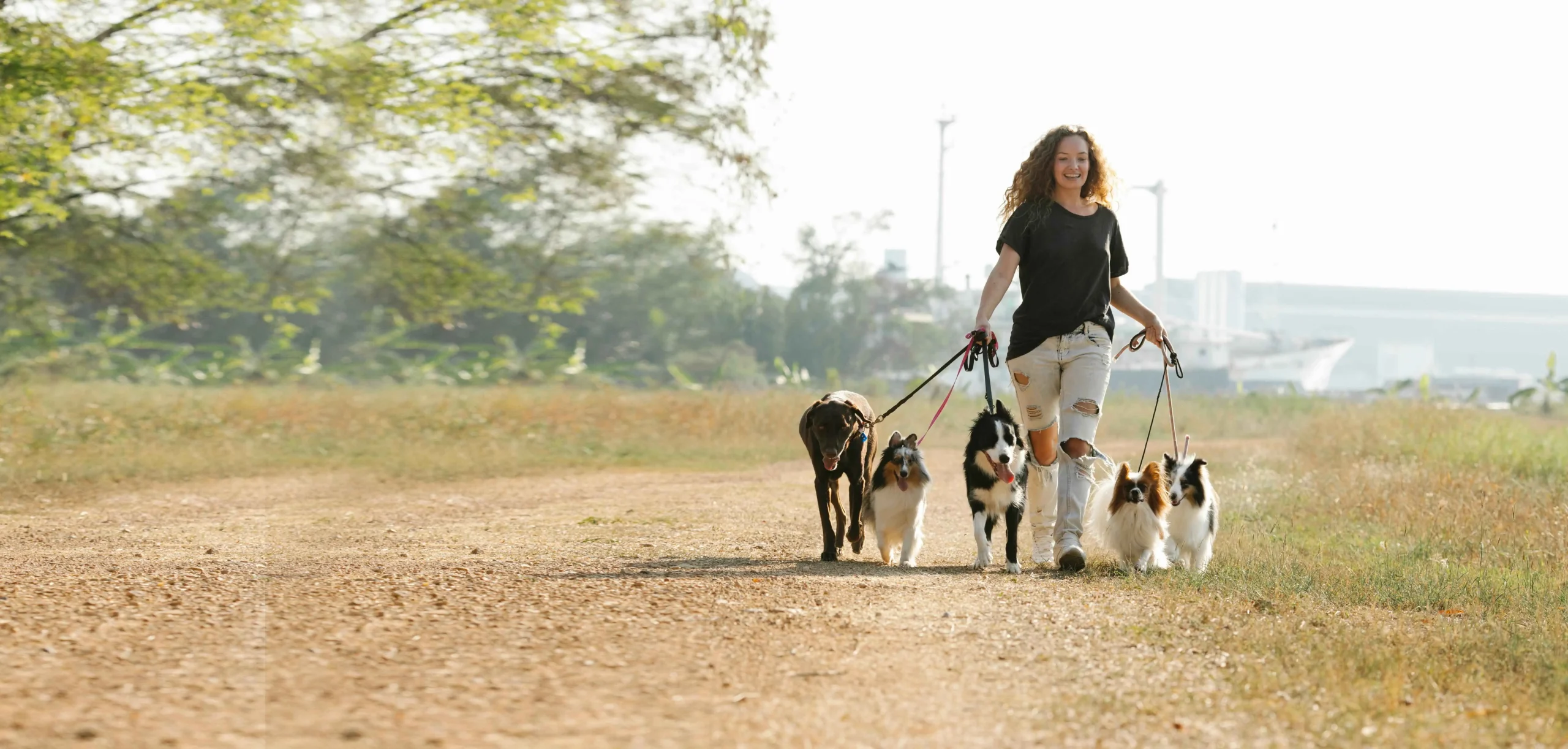 Enrichment Activities for Dogs: Keep Them Happy & Healthy