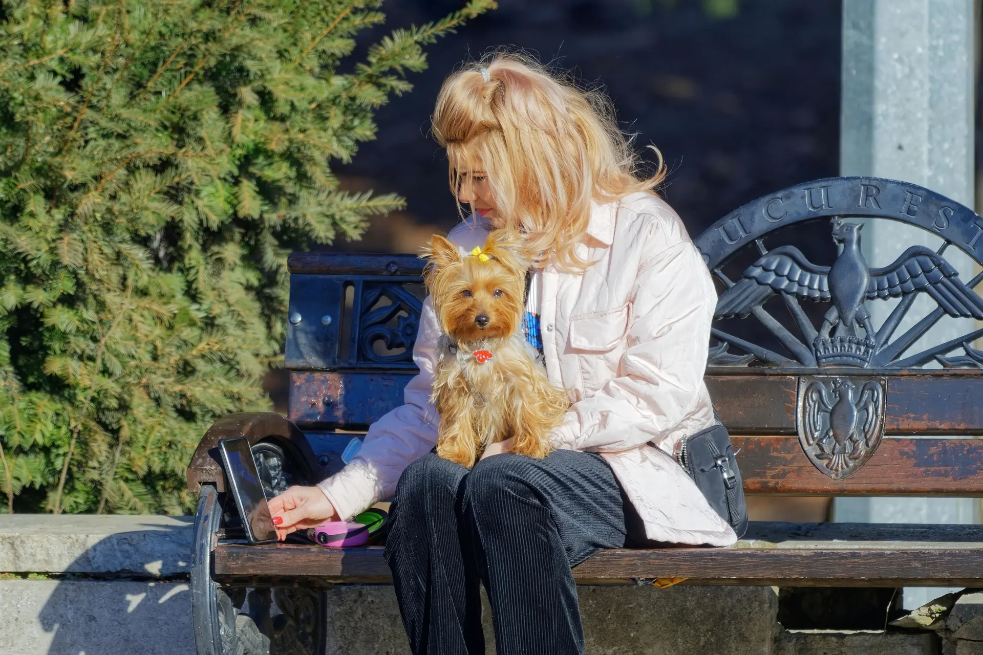 Pet Care Booking System: Reduce Client Wait Times with PawPal