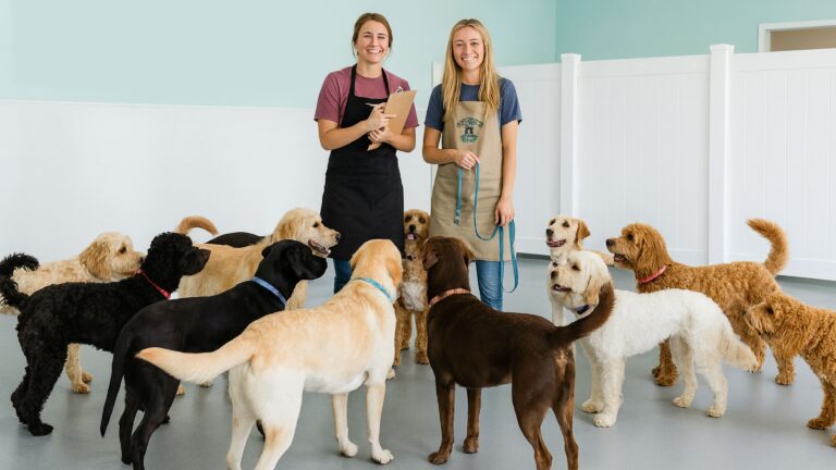 New Doggy Daycare Owners: 10 Mistakes to Avoid