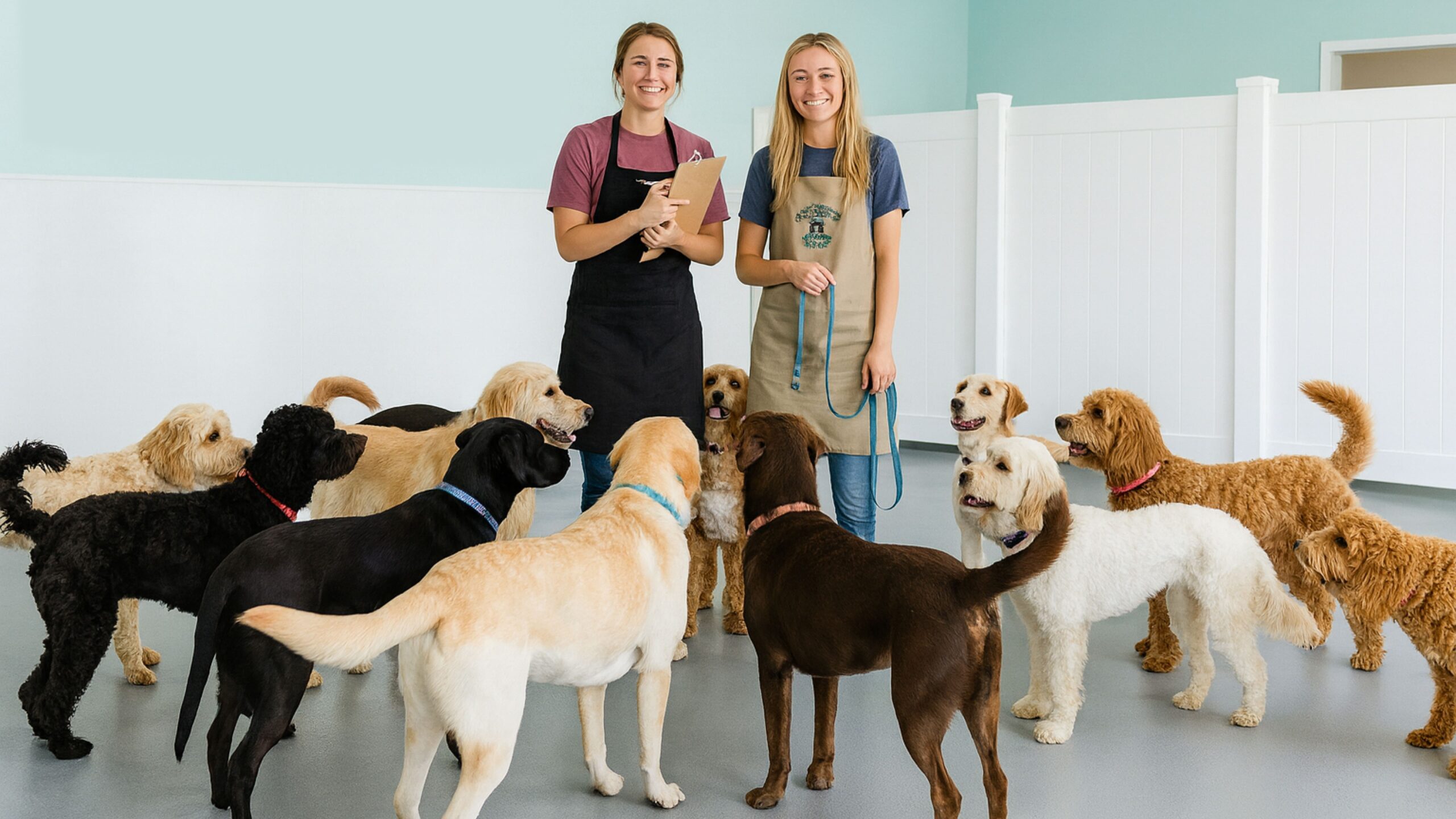 New Doggy Daycare Owners: 10 Mistakes to Avoid